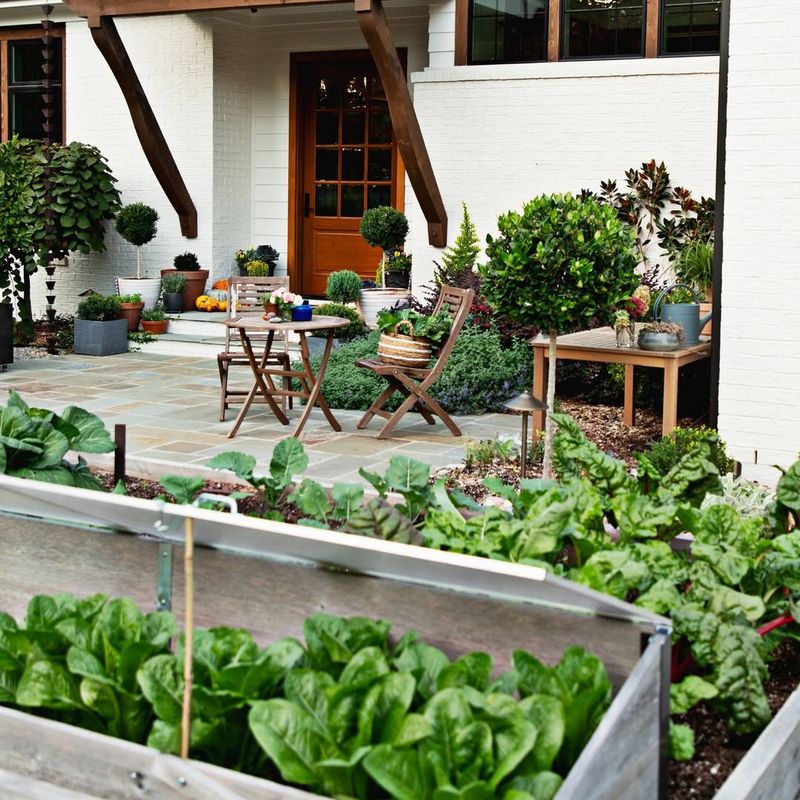 Vegetable Gardens in Front Yards