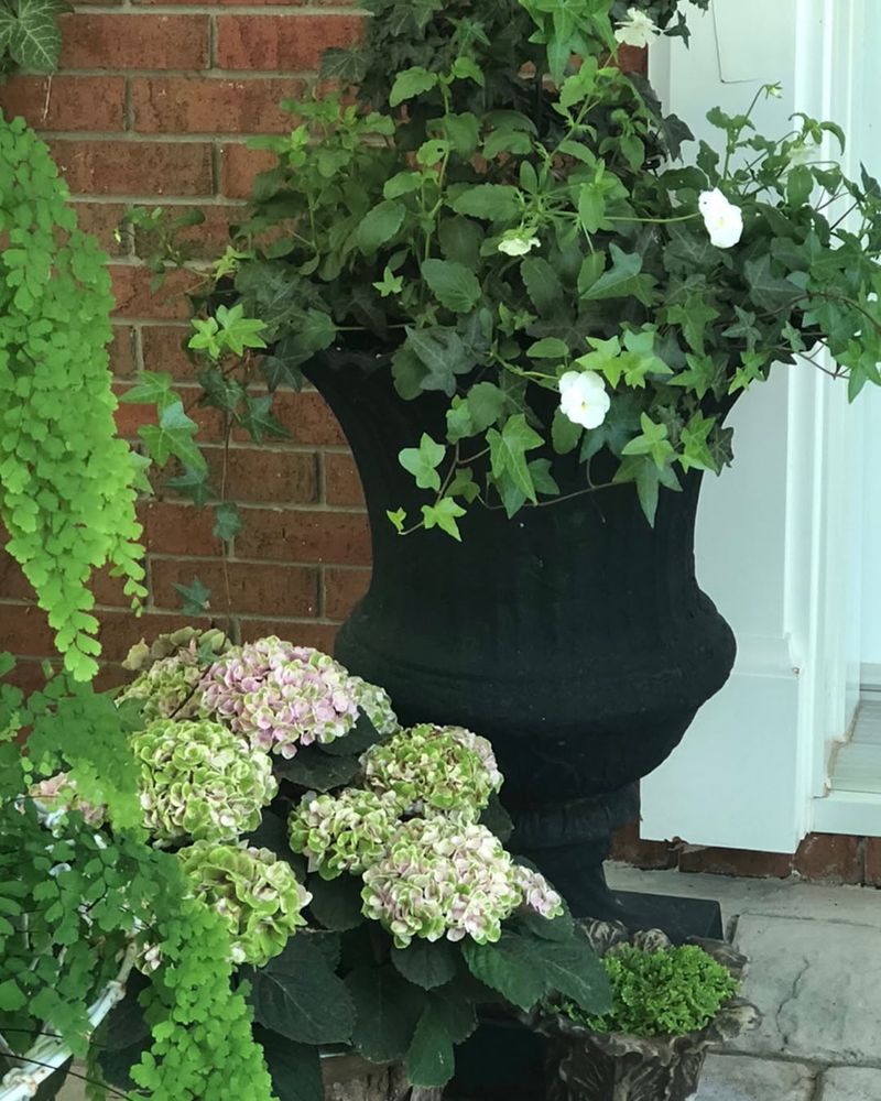 Move Containers To A Protected Spot