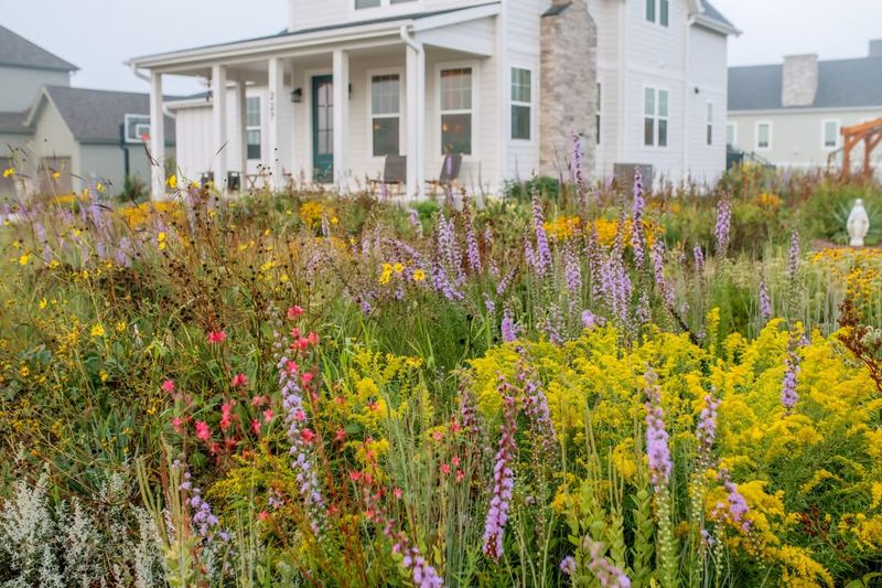 Wildlife Habitat Creation In Urban Areas