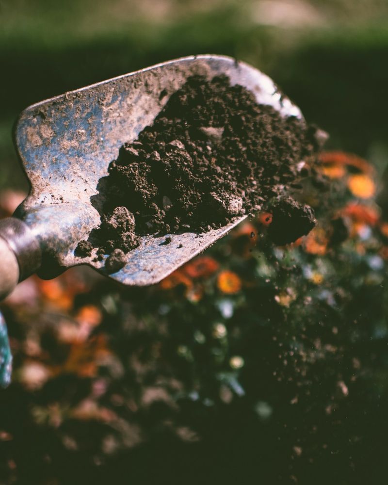 Improper Storage At Garden Centers