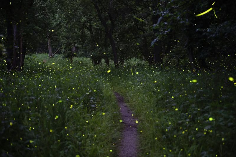 Water Source Reduction