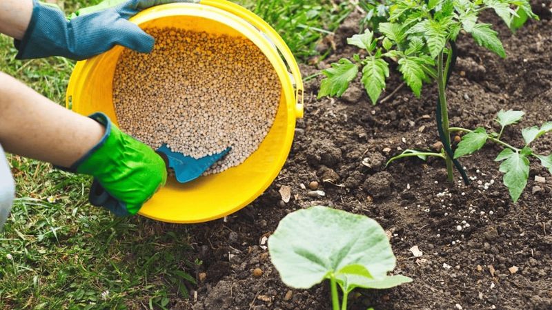 Maximizes Effectiveness Of Organic Fertilizers