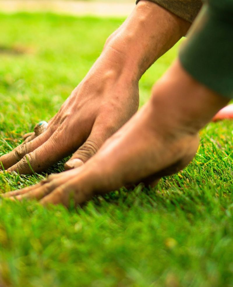 Matches Natural Grass Growth Patterns