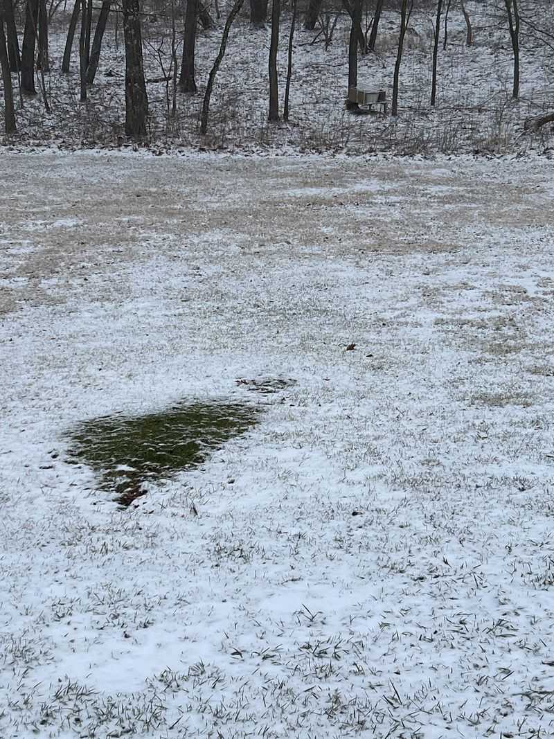 Prevents Matting Under Snow Or Ice