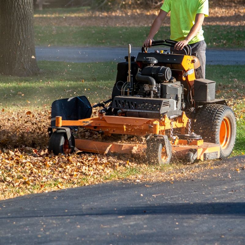 Improves Nutrient Absorption During Dormancy