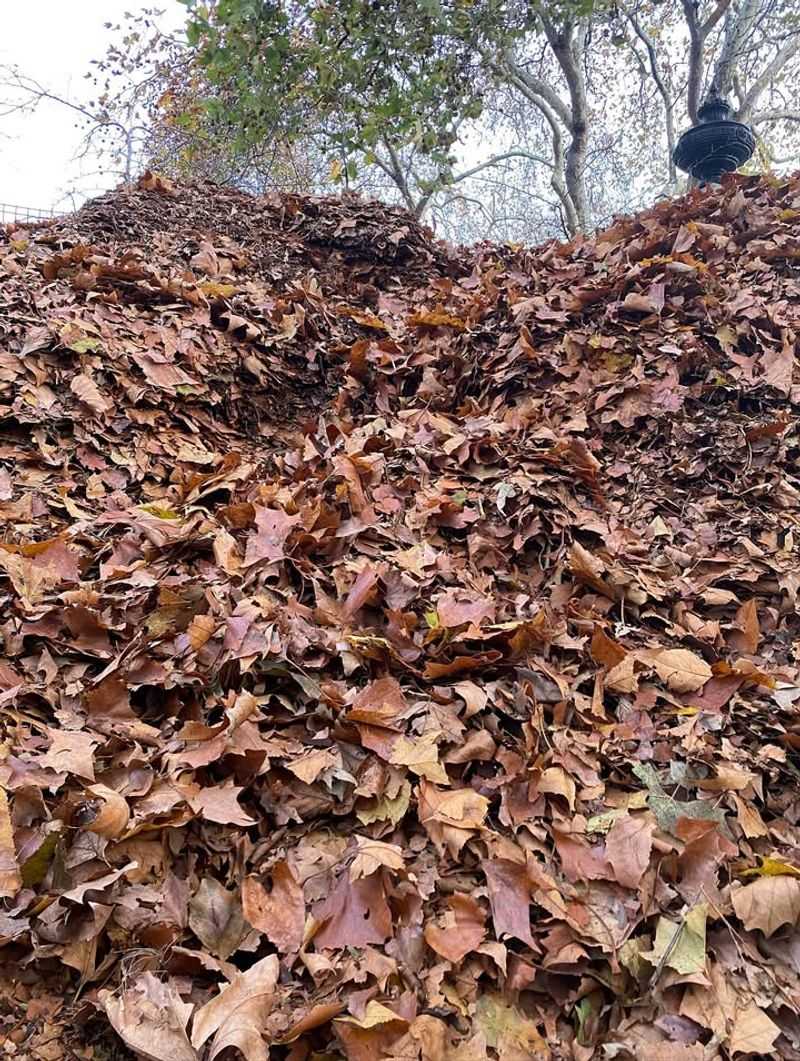 Works Perfectly In Minnesota's Challenging Climate