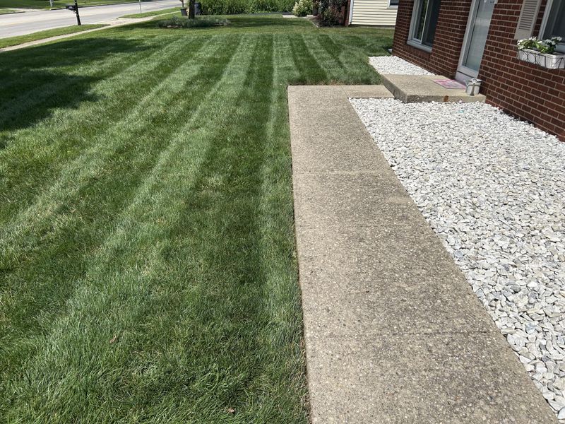 Affordable Alternative to Chemical Treatments