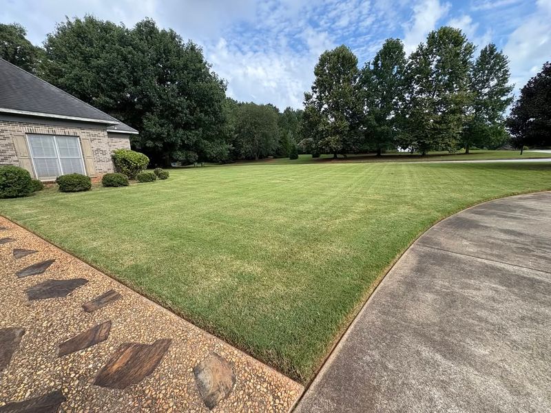 Improves Curb Appeal Before Holiday Visitors Arrive