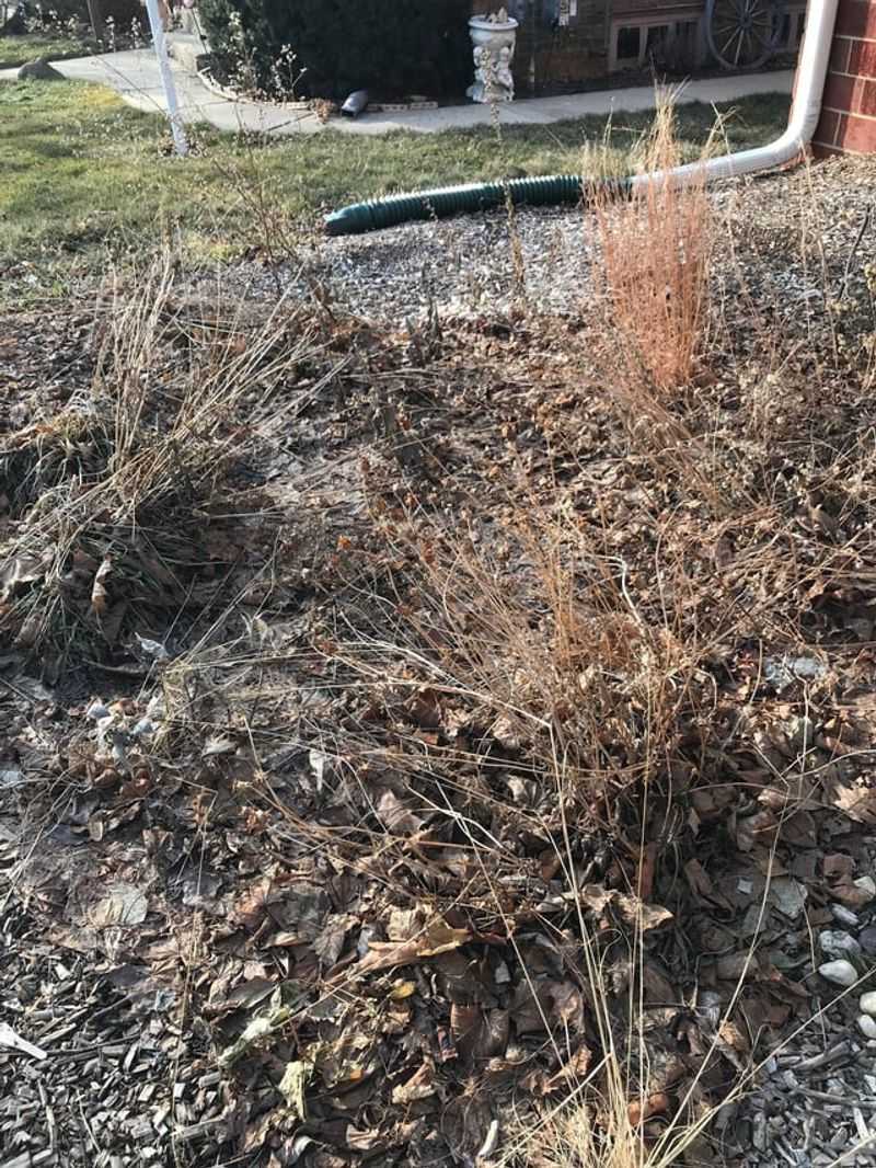 Makes Spring Cleanup Much Faster and Easier