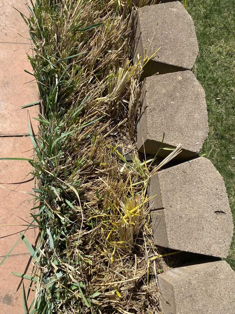 Makes Cleanup Easier And Safer