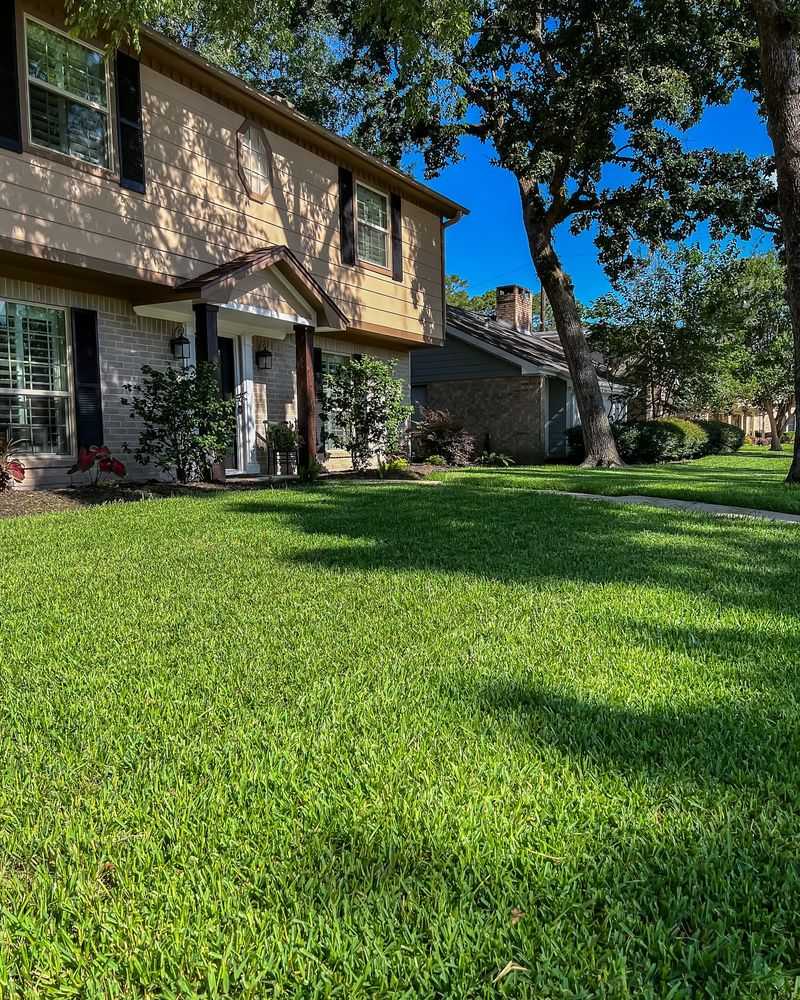 Stimulates Root Development And Strength