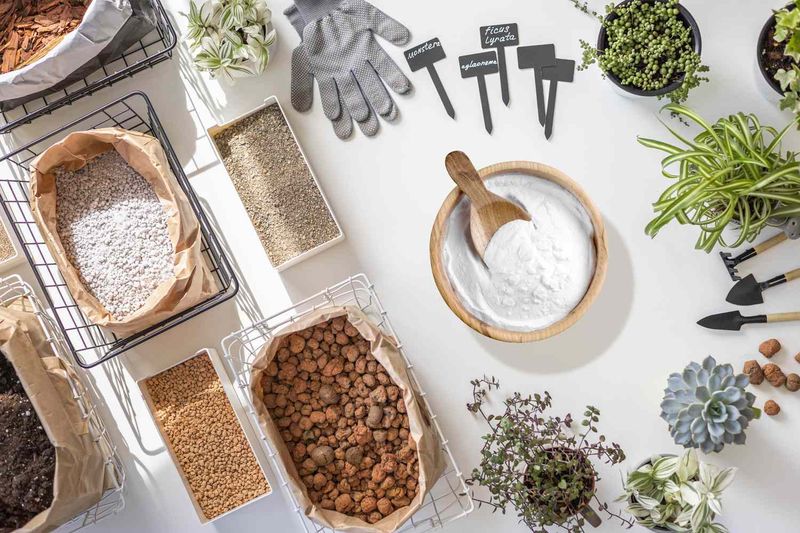 Freshening Up Lawn Odors Naturally