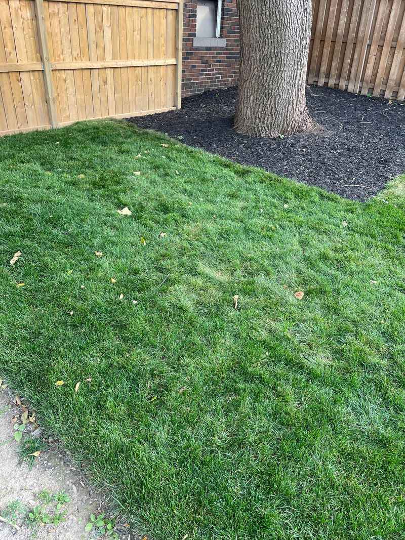 Controlling Lawn Odors
