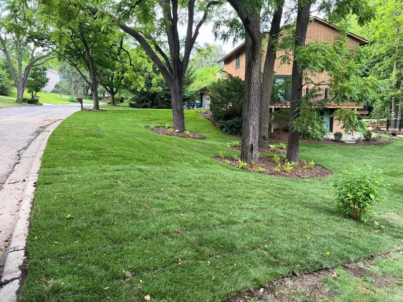 Improving Water Absorption Rates