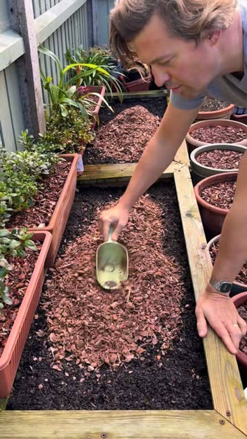 Mulching With Pine Bark Retains Moisture