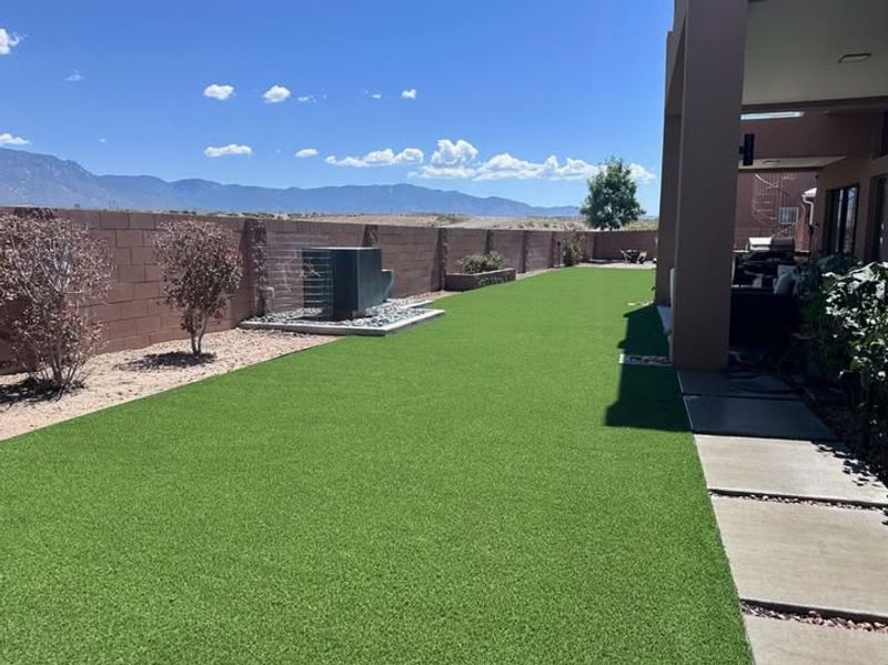 Sunlight Remains Abundant Throughout December