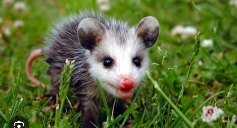 They're Just Passing Through Anyway