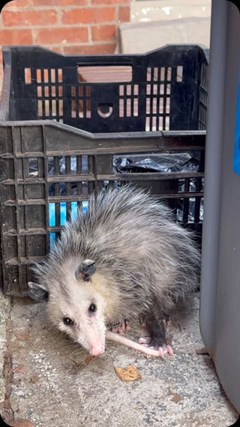 Simple Changes Can Encourage Them To Leave