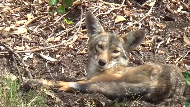 Install Motion-Activated Lights And Alarms