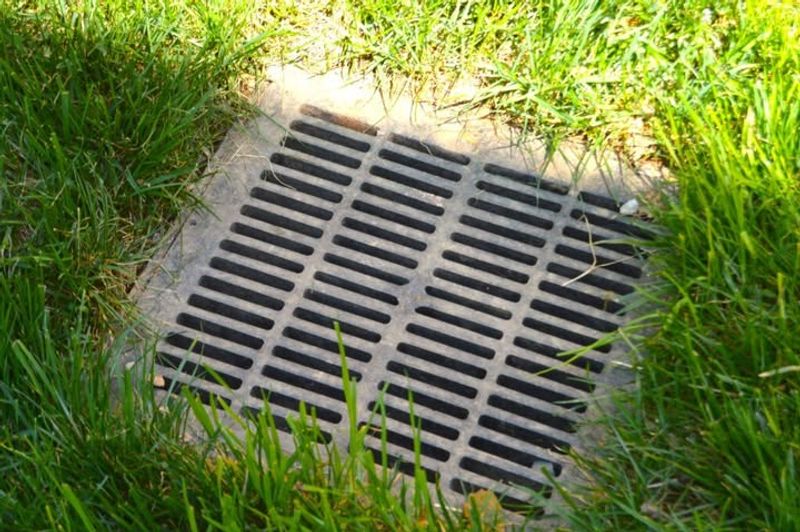 Inspect and Fix Drainage Issues