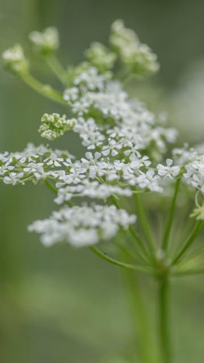 It Spreads Faster Than You Think