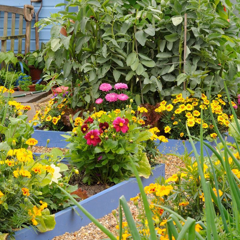 Compromise With Selective Leaf Removal