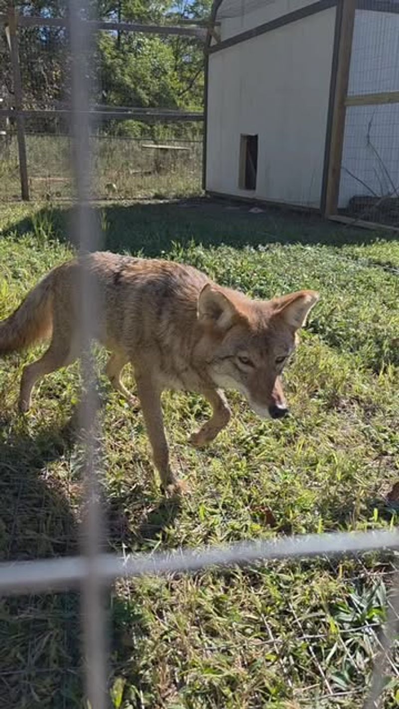 Don't Run Away or Turn Your Back