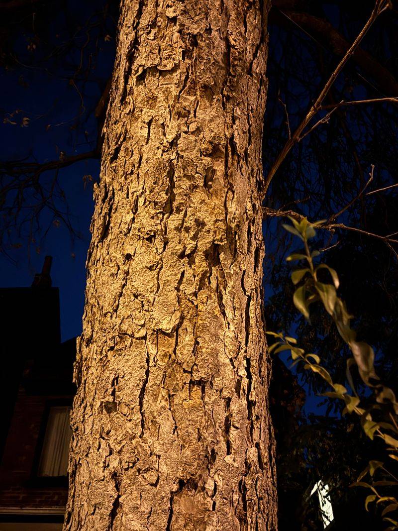 Works Even During Midnight Full Moons