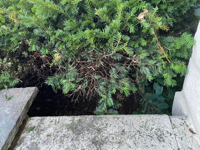 Damage To The Plant Could Mean Liability