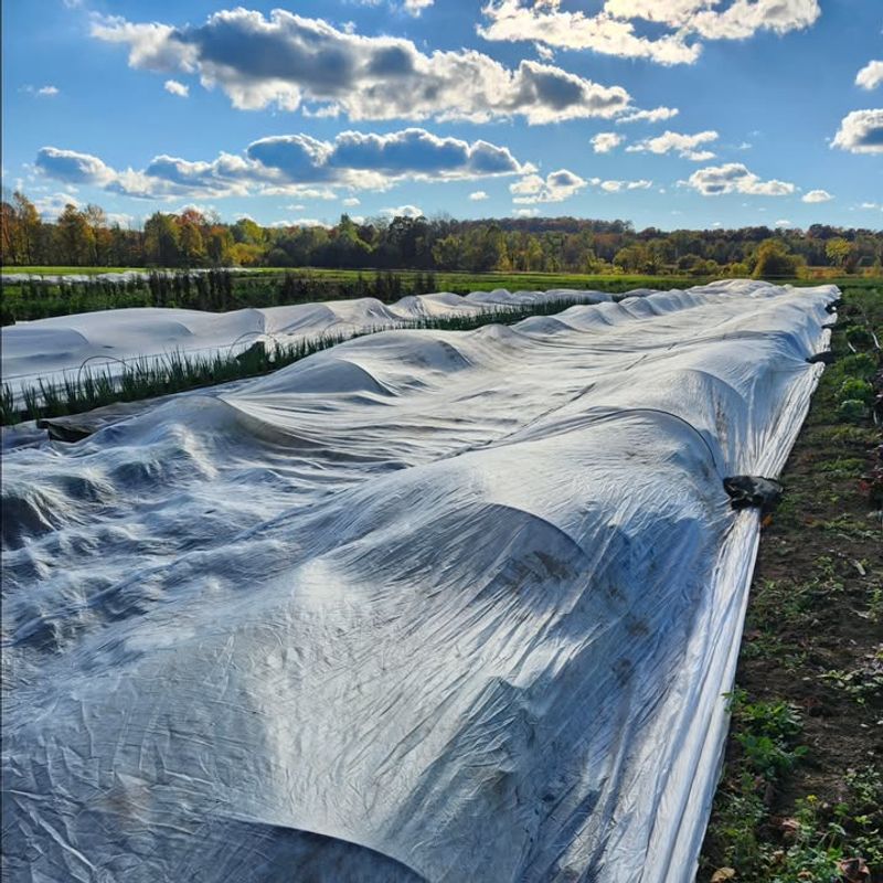 Lightweight and Won't Crush Plants