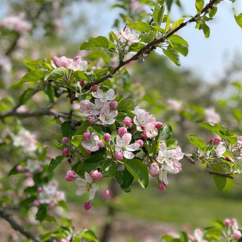 Historical Records Show A Clear Pattern