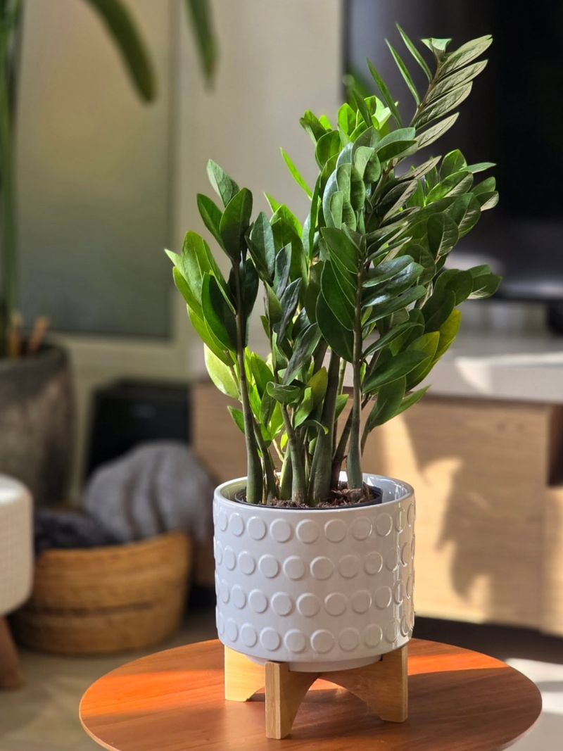 Growth Slows Down To Nothing