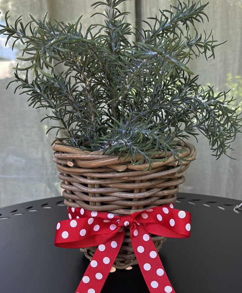 Potted Herbs Become Virginia's Signature Winter Gift Tradition