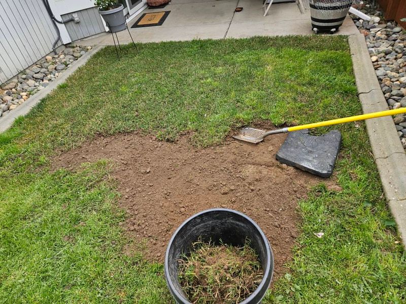 Bermudagrass (AVOID)