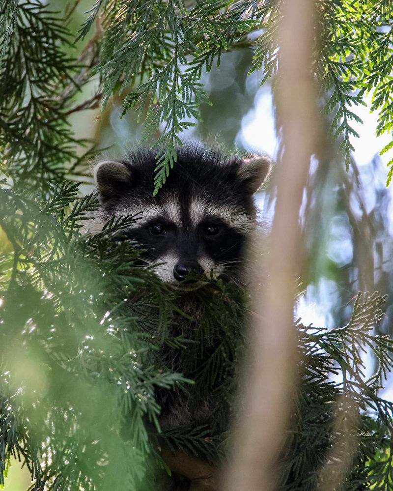 Prevention Beats Removal Every Time