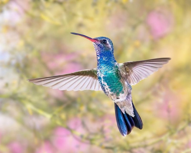 Temperature Changes Trigger The Journey South