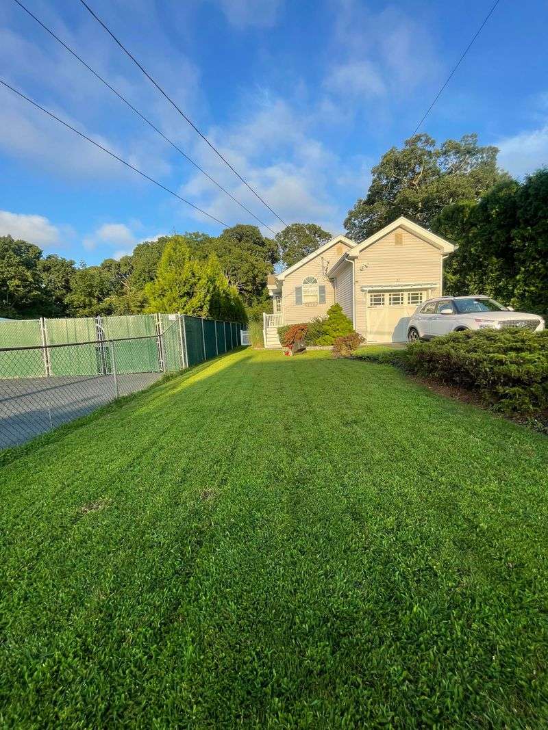 Easy Application With No Special Equipment