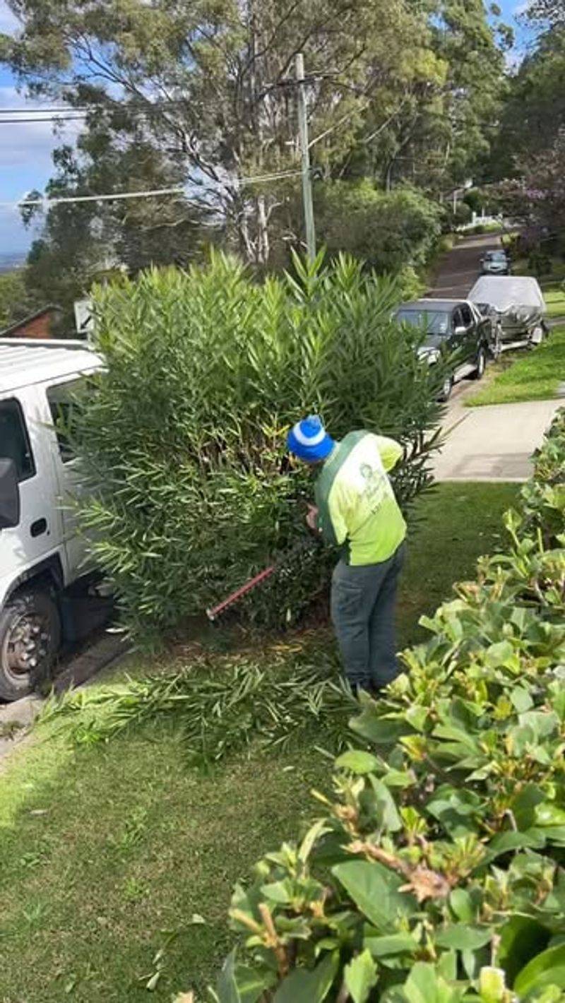 Proper Removal Requires Careful Handling