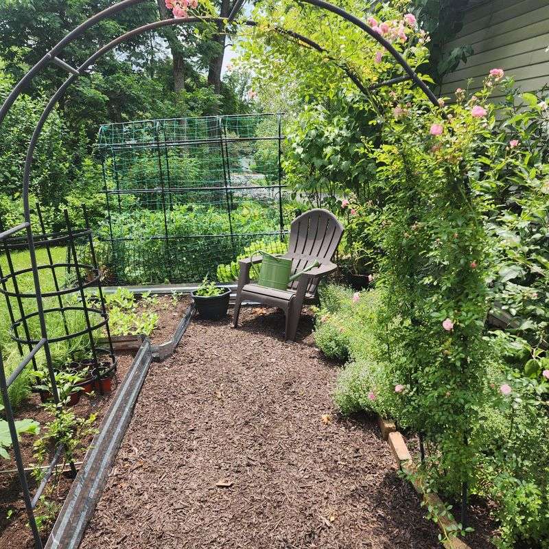 No Special Equipment Needed