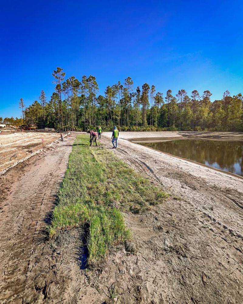 Deep Root Systems Prevent Soil Erosion