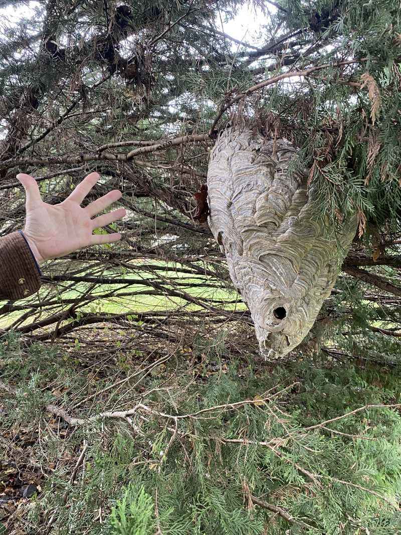 Sound Can Be Your Best Warning System