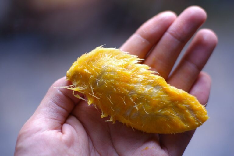 mango seed