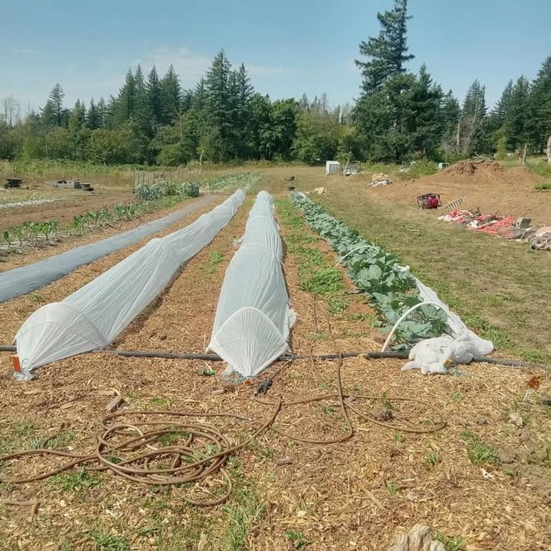 Vent During Warm Afternoons