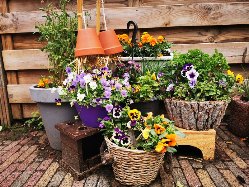 Group Pots Together for Mutual Support