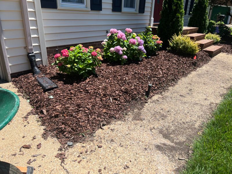 Add Mulch Around The Base