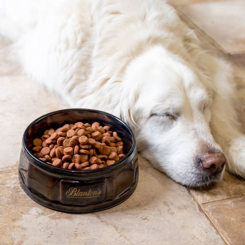 Remove Outdoor Pet Food And Water Bowls At Night