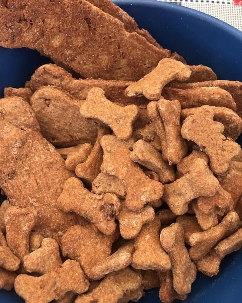 Remove Outdoor Pet Food Before Nightfall