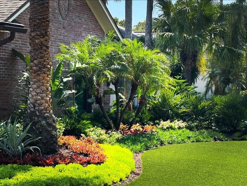 Root System Damage Causes Hidden Problems