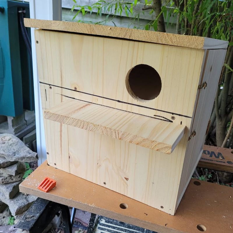 Build Or Clean Out Nest Boxes