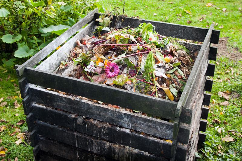 Compost Bins And Garden Debris Attract Them